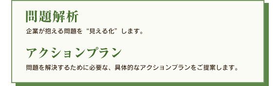 問題解析、アクションプラン